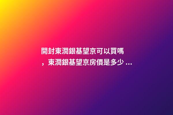 開封東潤銀基望京可以買嗎，東潤銀基望京房價是多少？